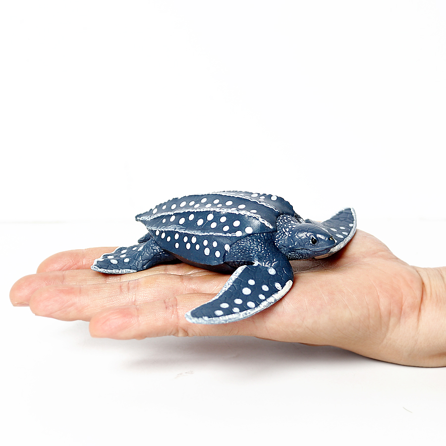 Simulation Chinese Softshell L - đánh giá và giá Kids Educational Game