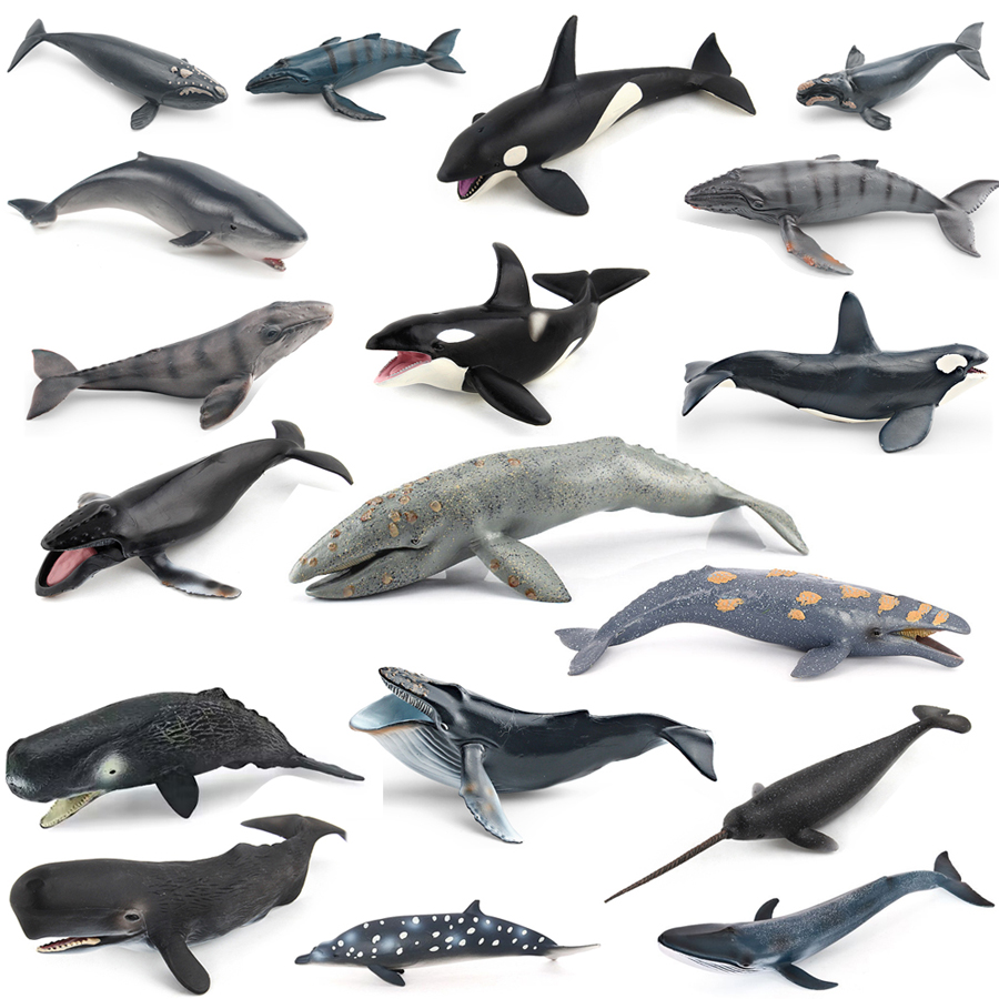 Realistic Humpback Whale Sperm - đánh giá và giá Kids Educational Game