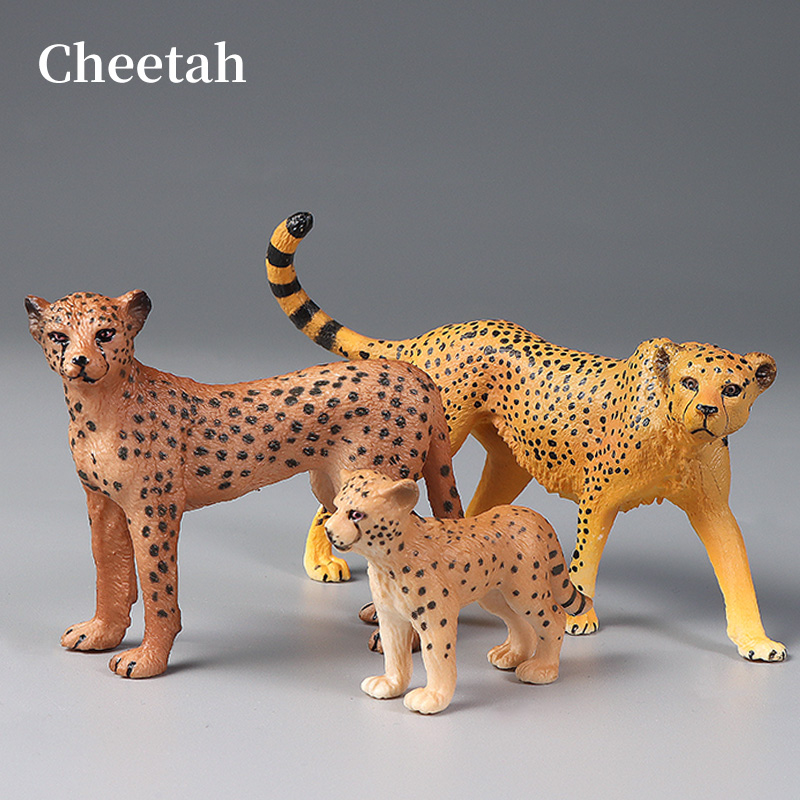Educational Simulated Wild Ani - đánh giá và giá Kids Education Learn Tv