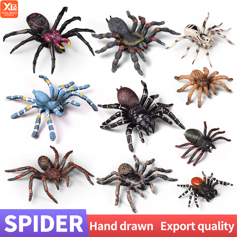 Educational Insect Spider Toys - đánh giá và giá Kids Education Learn Tv