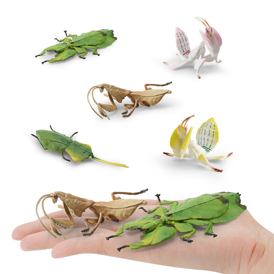 Realistic Orchid Mantis Dead L - đánh giá và giá Kids Educational Game